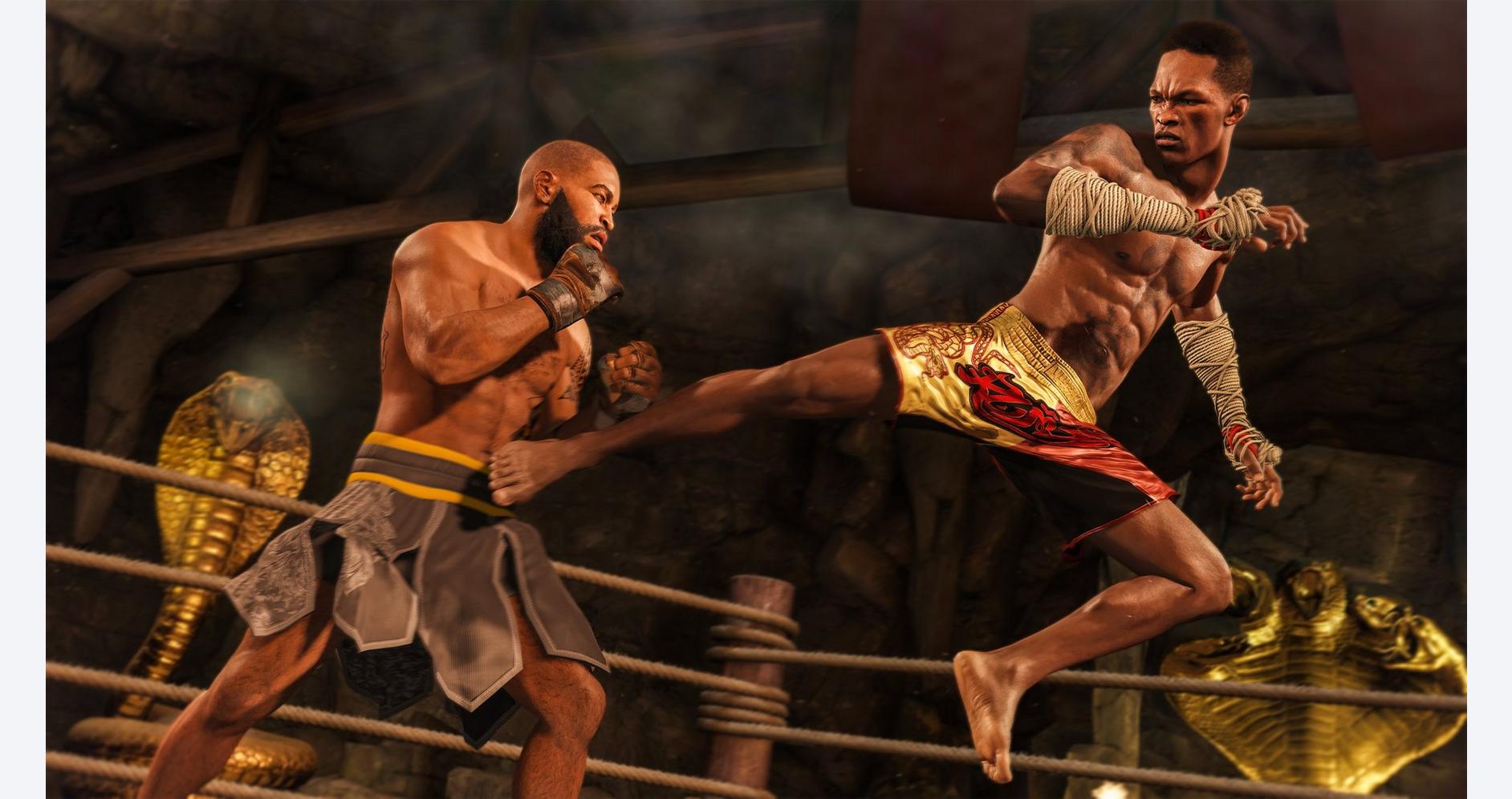 EA Sports UFC 4 - PlayStation 4 Price in Doha, Qatar - Image 4