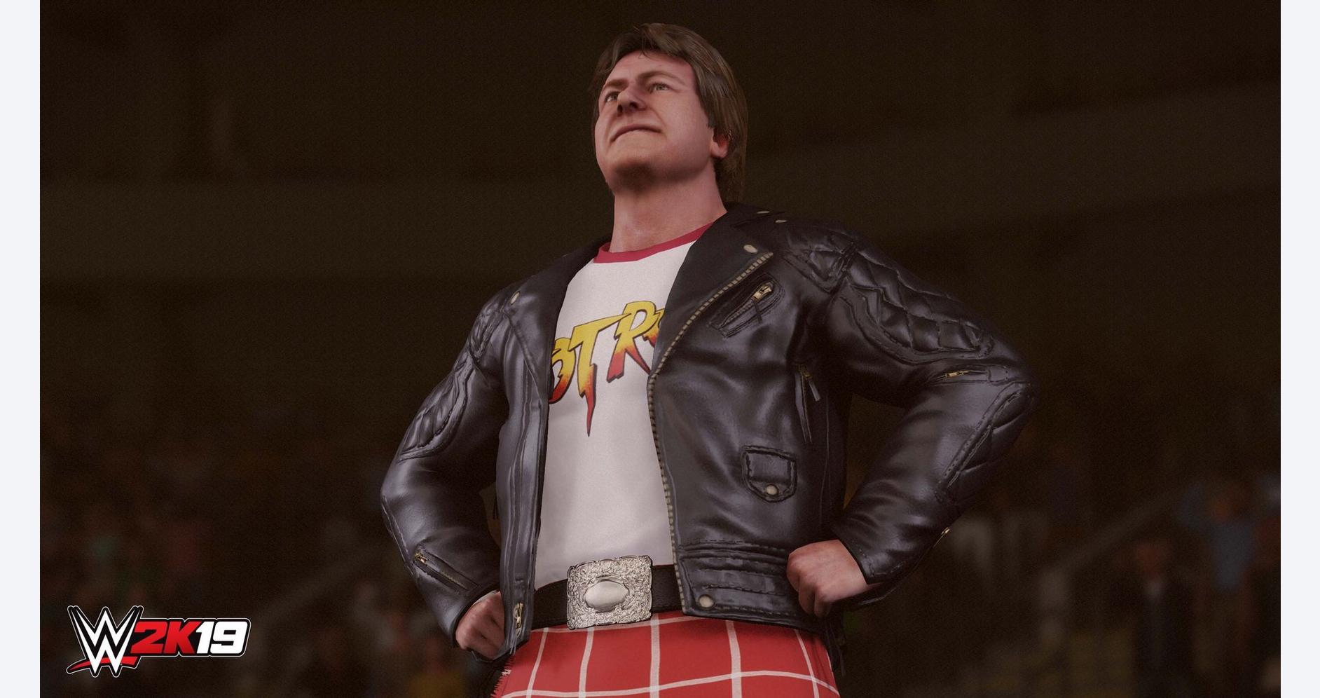 WWE 2K19 - PlayStation 4 Price in Doha, Qatar - Image 3